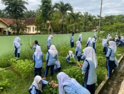 Siswa SMAN 1 Abung Semuli Panen Sayur Organik , Belajar Asyik di Luar Kelas