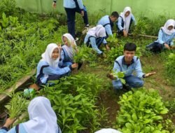 Siswa bertanam sayuran secara organik